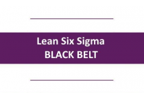 LSS Black Belt