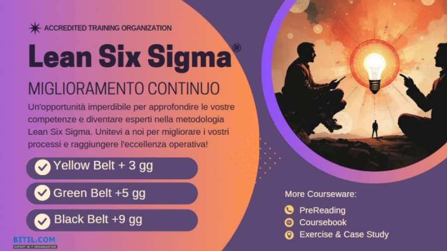 Lean Six Sigma Black Belt